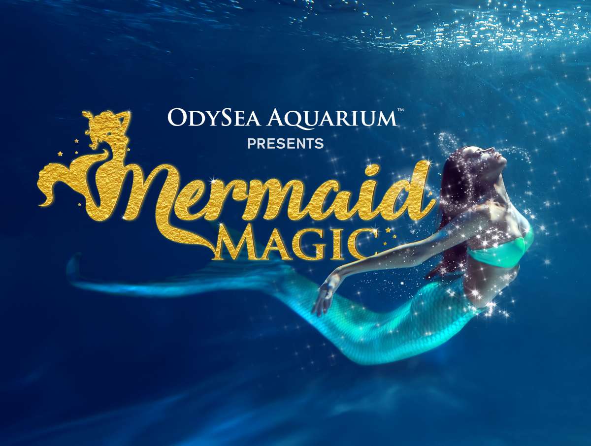 odyseaaquarium-mermaidmagic
