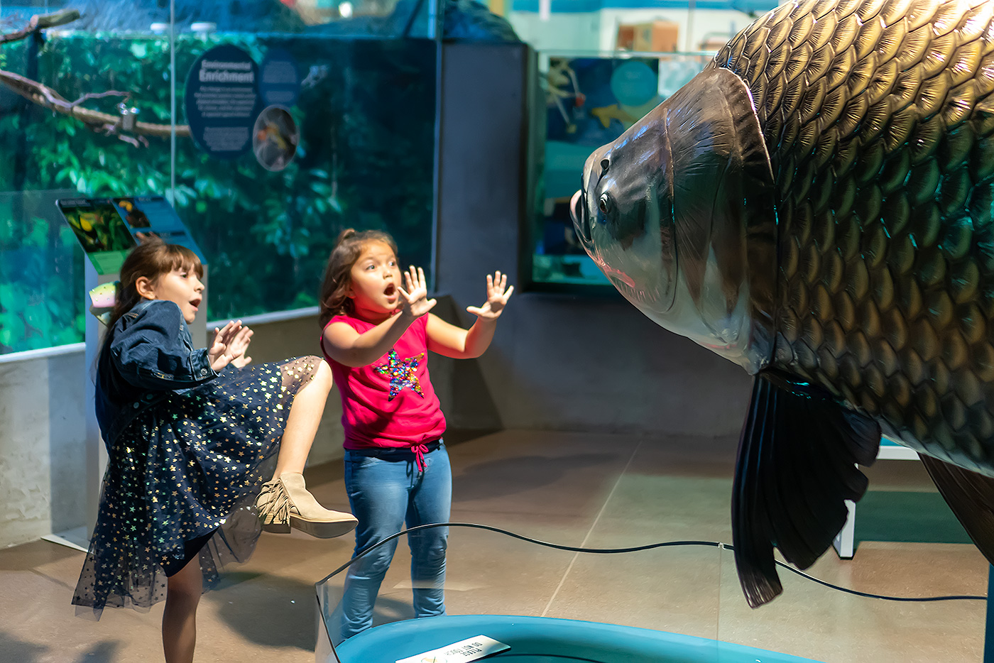 Monster Fish at OdySea Aquarium through May 5 - Yay Baby!